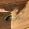 Commode en chêne – Image 2