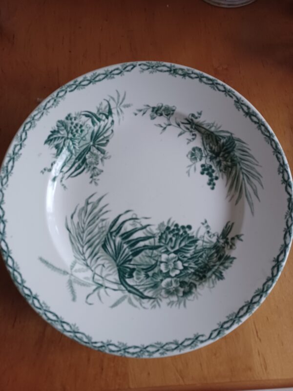 Assiette Boch Plantas