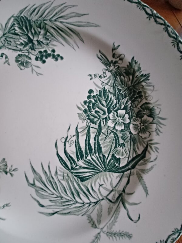 Assiette Boch Plantas – Image 2