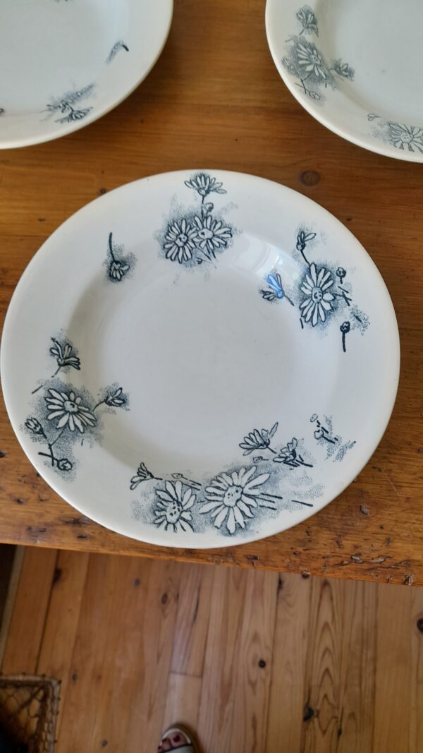 Assiette creuse ancienne de la manufacture GIVORS modèle MARGUERITE