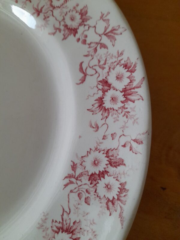 Assiette rouge ASTER – Image 2