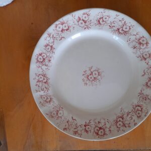 Assiette rouge ASTER