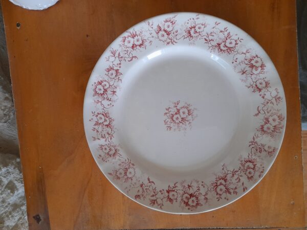 Assiette rouge ASTER