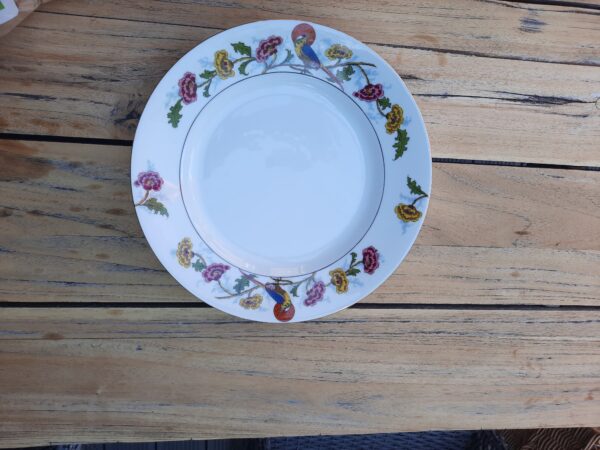 Assiette( GM) Limoges décor perroquet