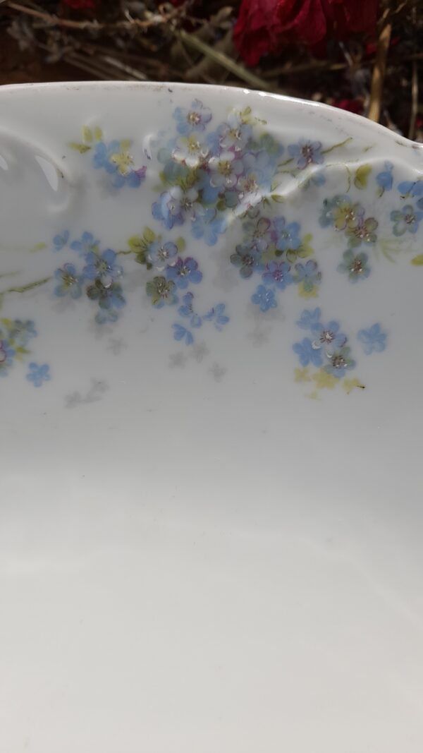 Plat légumier Myosotis – Image 2
