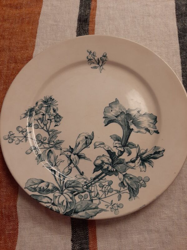 Assiette plate PETUNIA manufacture BFK