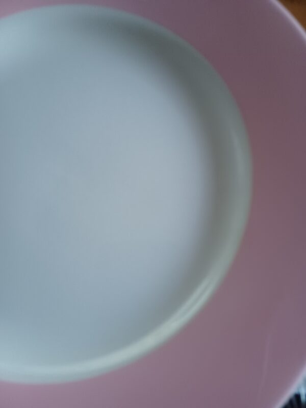Assiette bord de couleur BOCH – Image 2