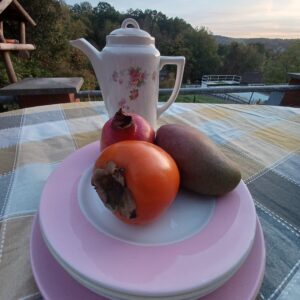 Assiette bord de couleur BOCH