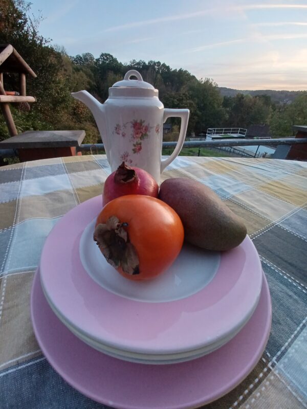 Assiette bord de couleur BOCH