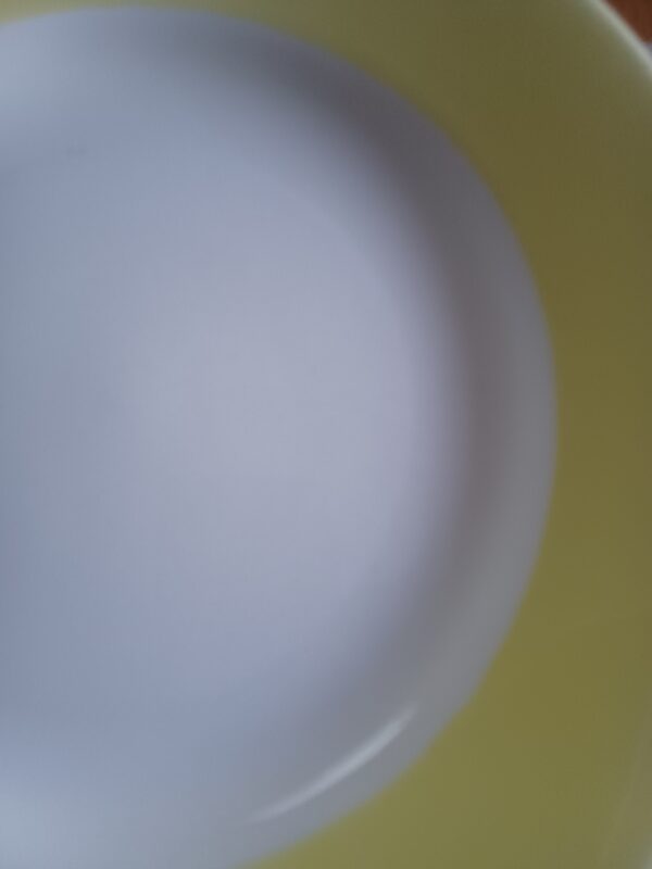 Assiette bord de couleur BOCH
