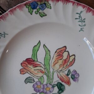 assiette ancienne POLYCHROME Longwy