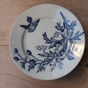 Compotier BLEU