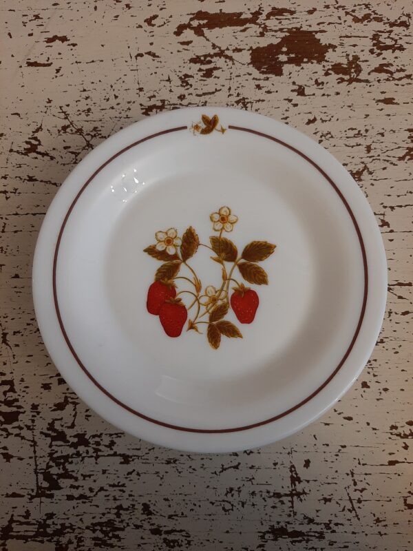 Assiette ARCOPAL