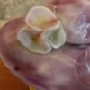 Figurine  en terre cuite – Image 6